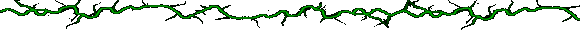 gif of green glitchy line